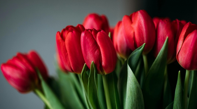 8 Martie